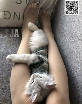 法国黄色片_剧情片高清电影在线