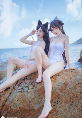 二哈全文txt免费下载_无广告免费播放高清电影